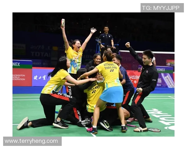 深圳羽毛球队与南京羽毛球队赛后状态分析与复盘总结