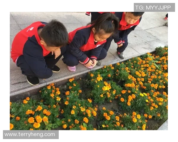 足球明星经理的职业生涯与成就全景揭秘，带你走进他们的精彩世界